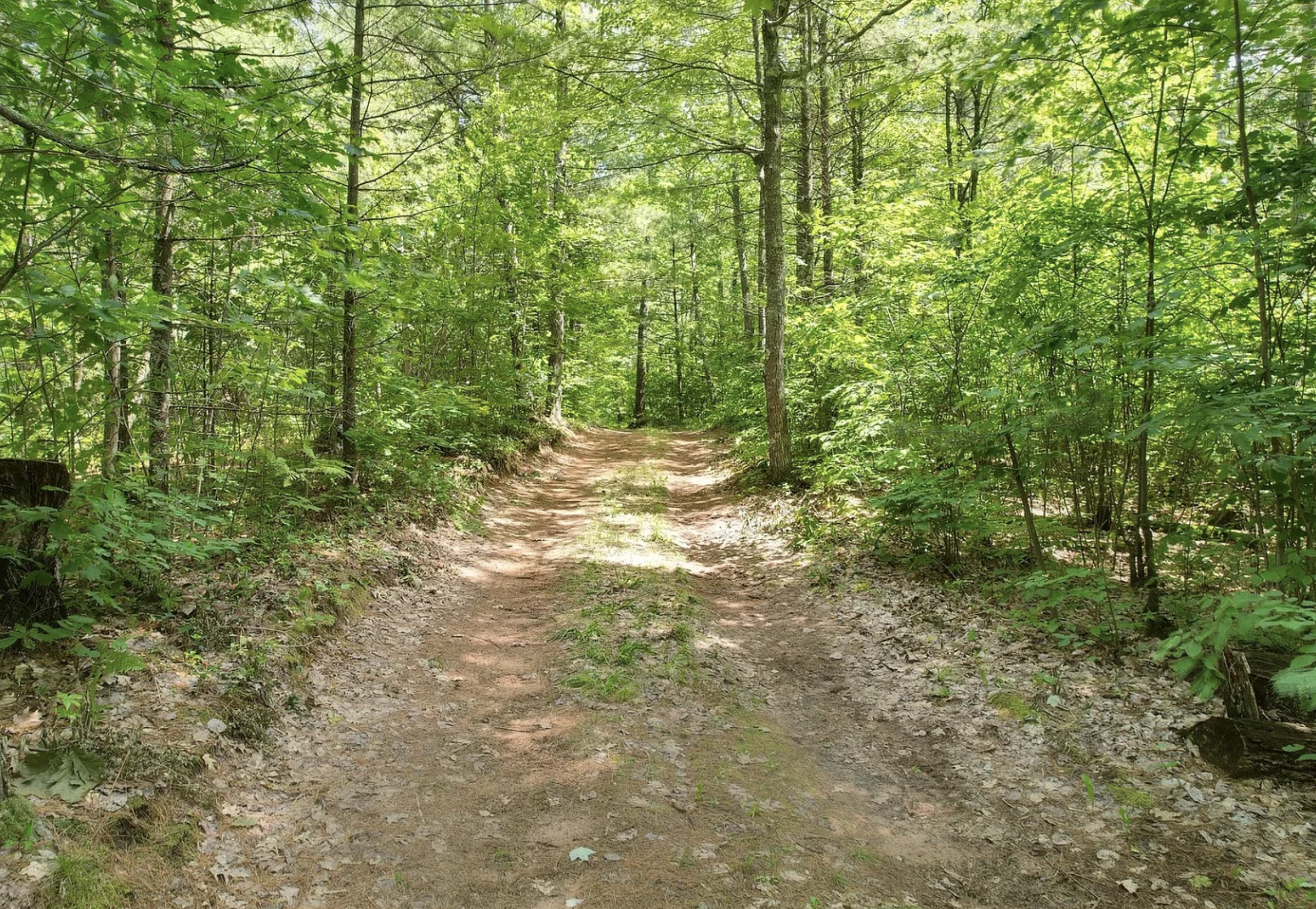 Screenshot 2025-05-28 at 3.14.24 AM